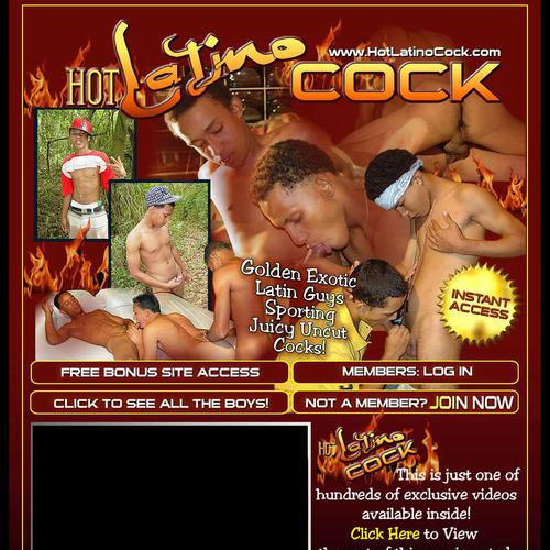 hot latino cock