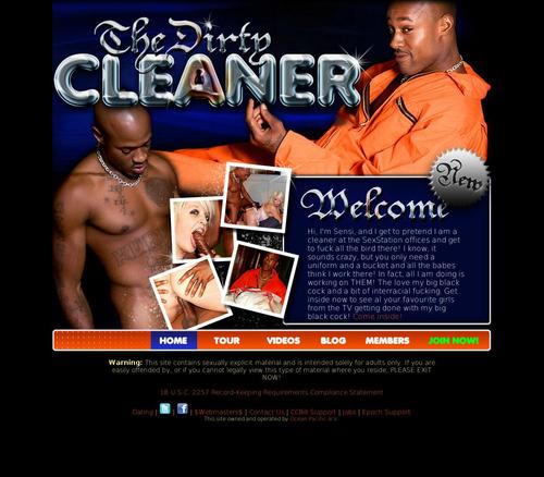 thedirtycleaner